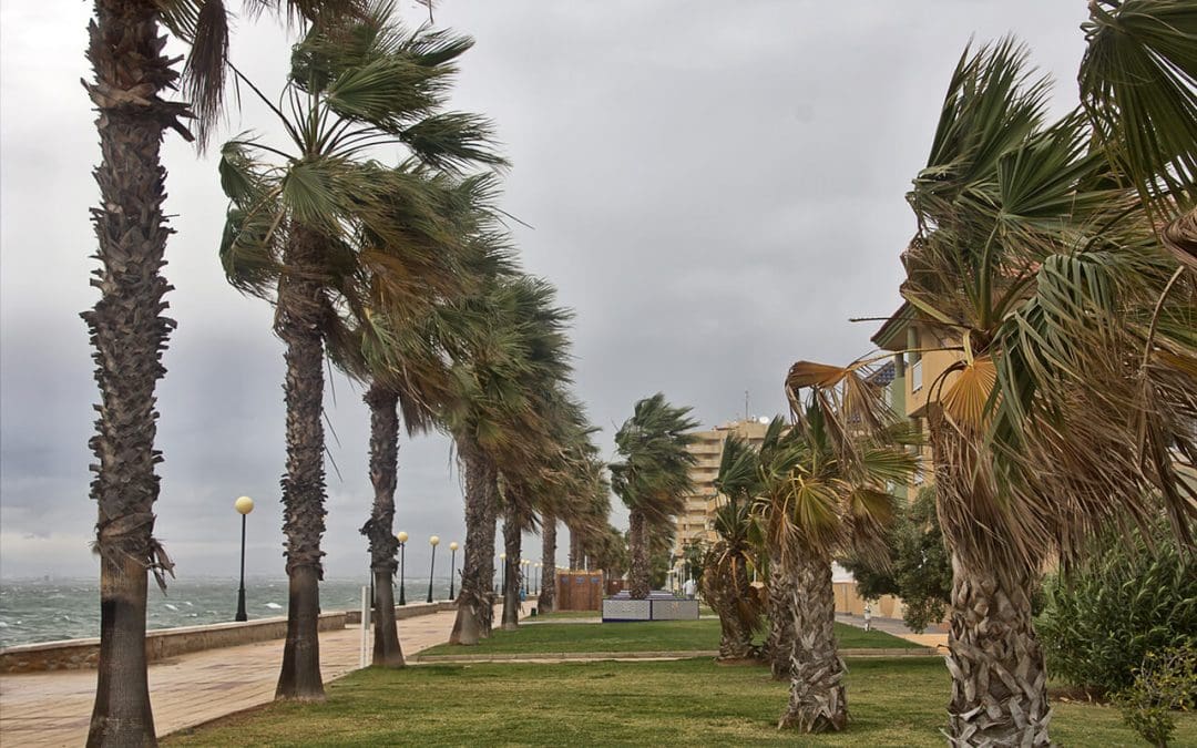 Why Wind Mitigation Inspections Matter in Florida