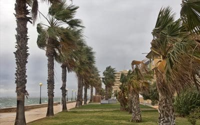 Why Wind Mitigation Inspections Matter in Florida