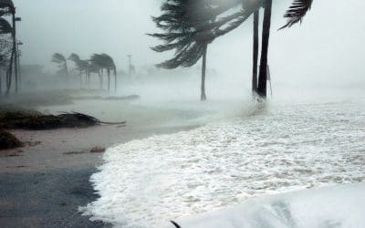 Ready Before the Storm: How to Prepare Your Home for Hurricane Season